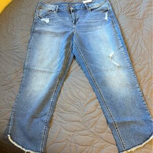 Maurices Light Blue Distressed Ankle Jeans